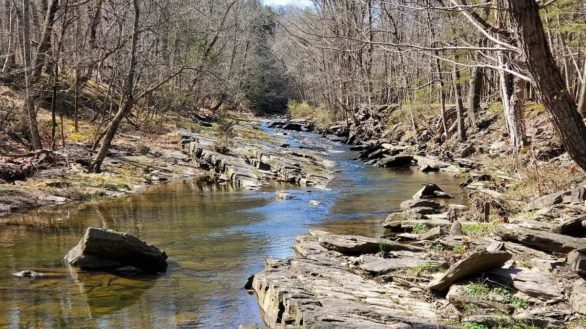 Cabin Run Covered Bridge in Pipersville - Photo 3