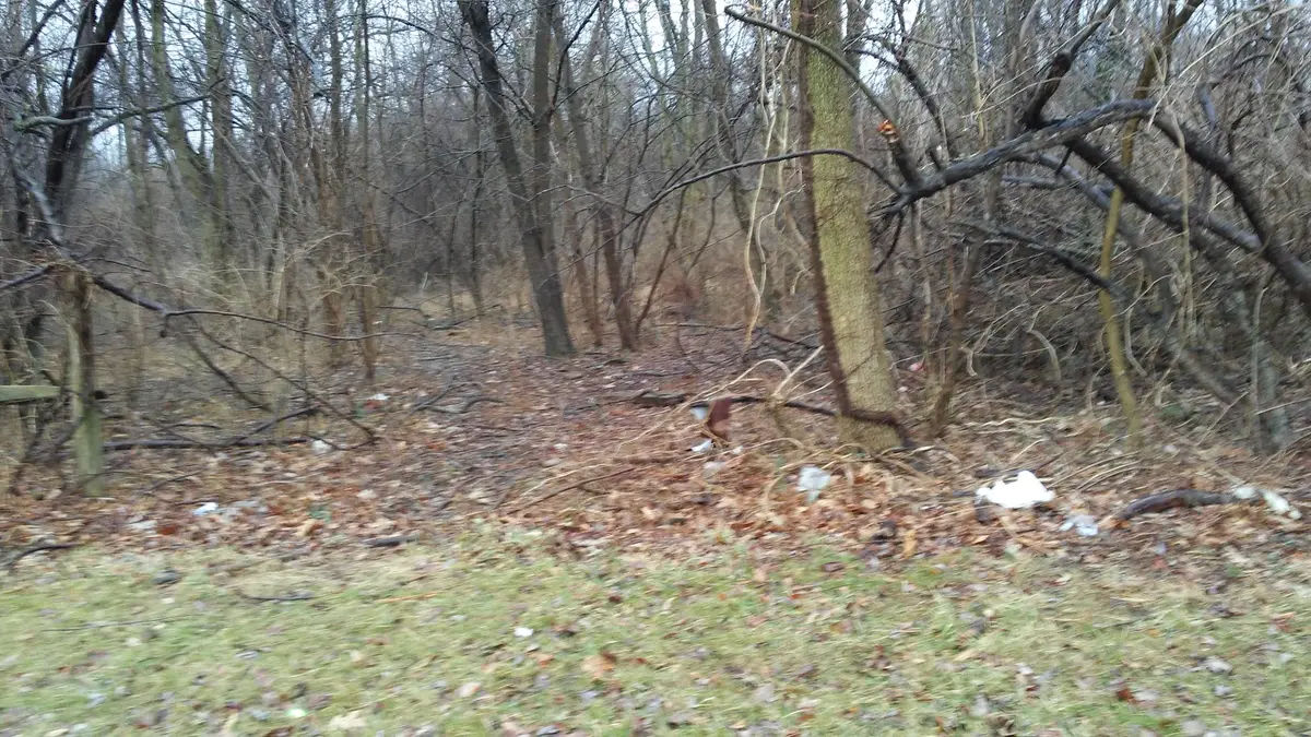 Parks & Recreation Department in Bensalem - Photo 1