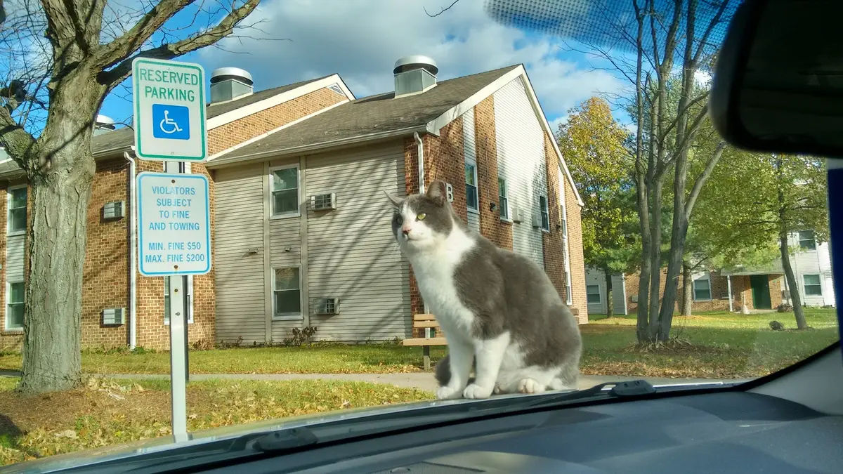 Parks & Recreation Department in Bensalem - Photo 2