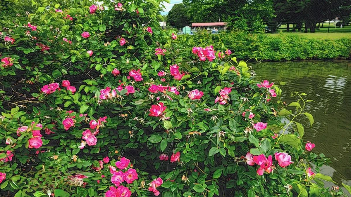 Gazebo In Delaware Lagoon Park in Bristol - Photo 2