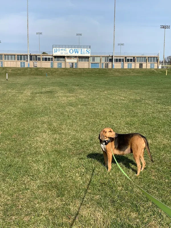 Bensalem Township Memorial Stadium in Bensalem - Photo 4