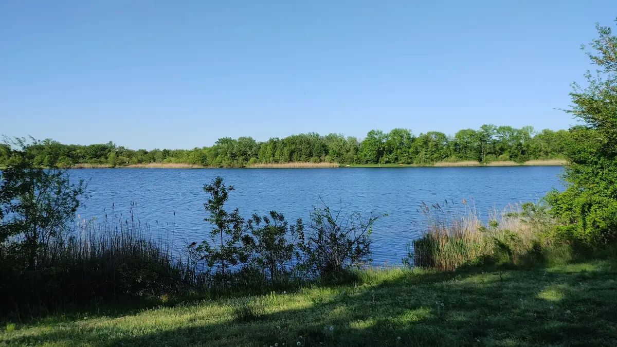 Falls Township Dog Park in Morrisville - Photo 1