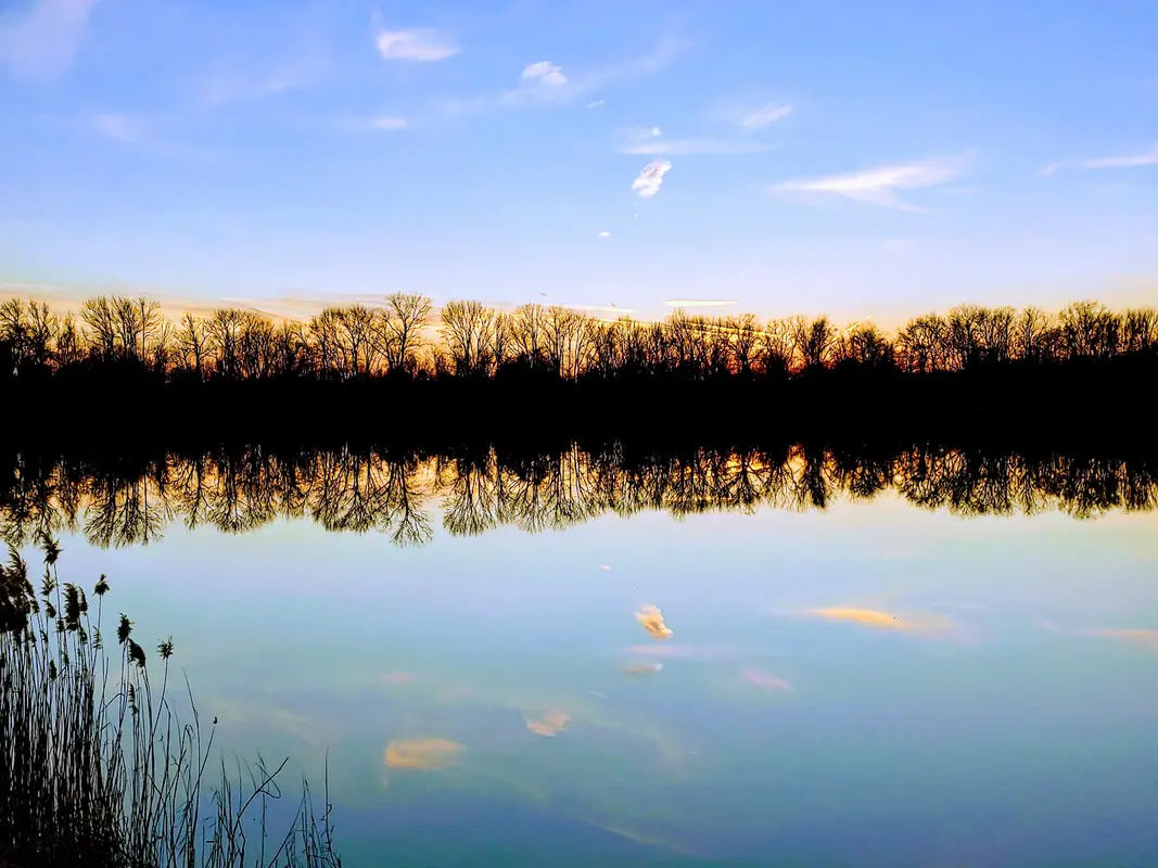 Falls Township Dog Park in Morrisville - Photo 4