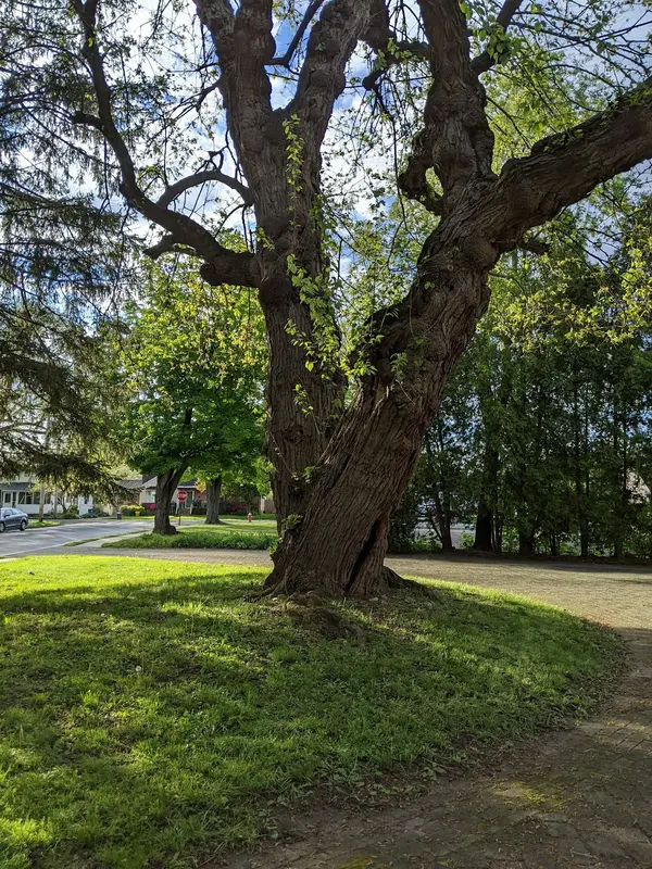 Summerseat in Levittown - Photo 4