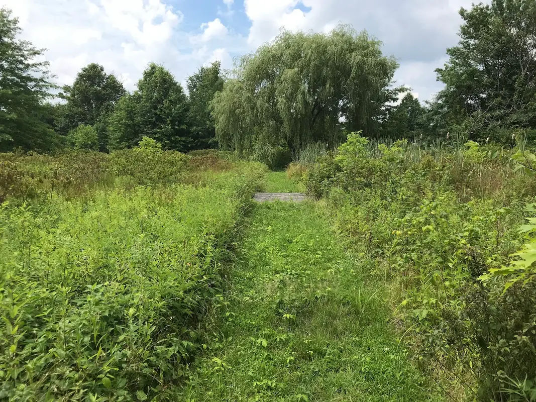 Jennifer Schweitzer Park in Dublin - Photo 1