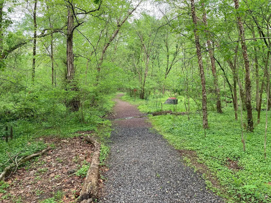 Wilma Quinlan Nature Preserve in New Britain - Photo 2