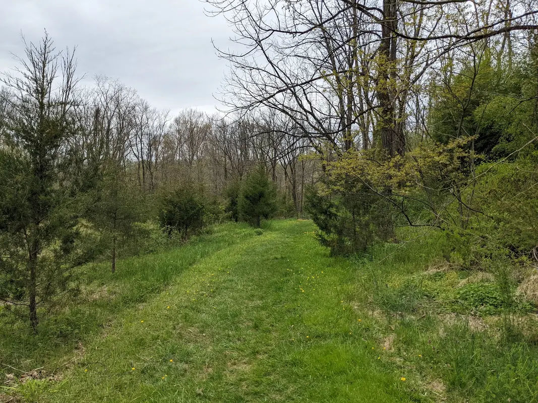 Wilma Quinlan Nature Preserve in New Britain - Photo 3