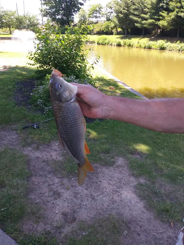 Delaware Canal Lagoon (Fountain, Dedication) in Bristol - Photo 3