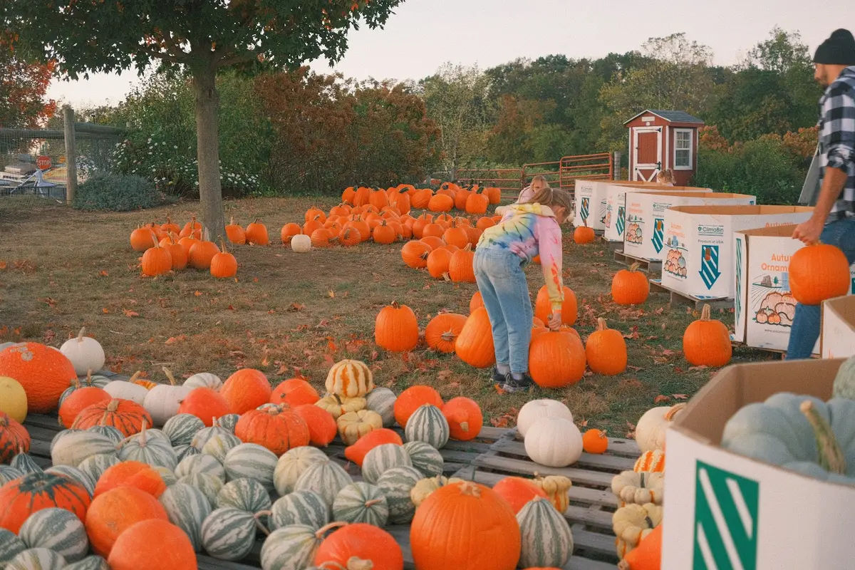 Hellerick’s Adventure Farm in Doylestown - Photo 3