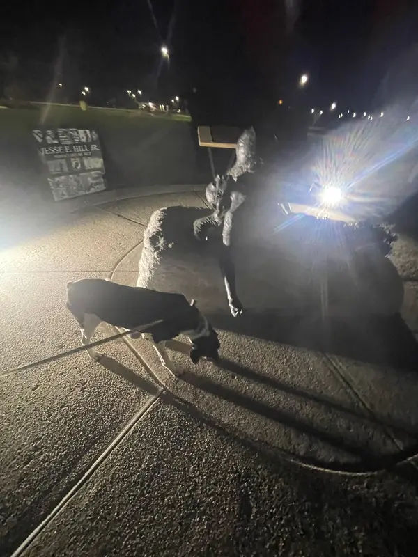 Pennsylvania War Dog Memorial in Bristol - Photo 4