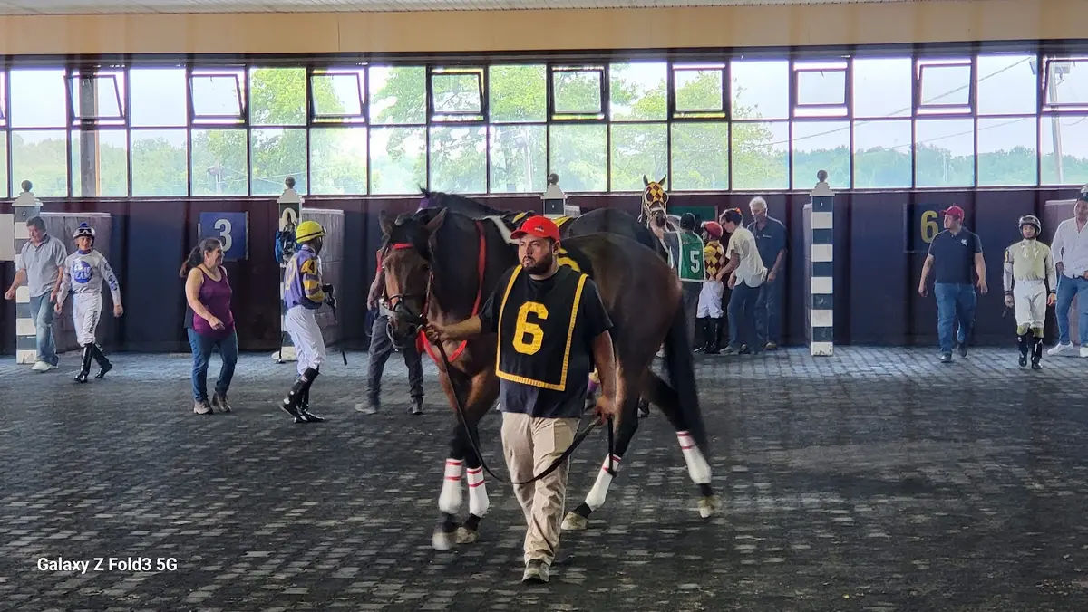 Parx Racing in Bensalem - Photo 3