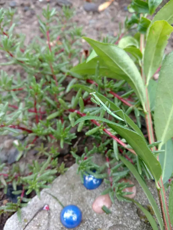 Bridge View Park in Chalfont - Photo 4