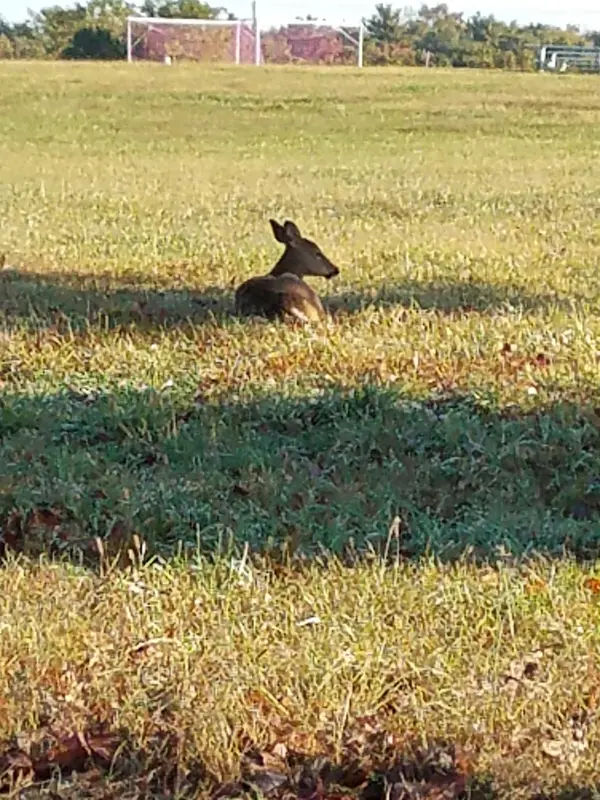 Munro Community Park in Warminster - Photo 4