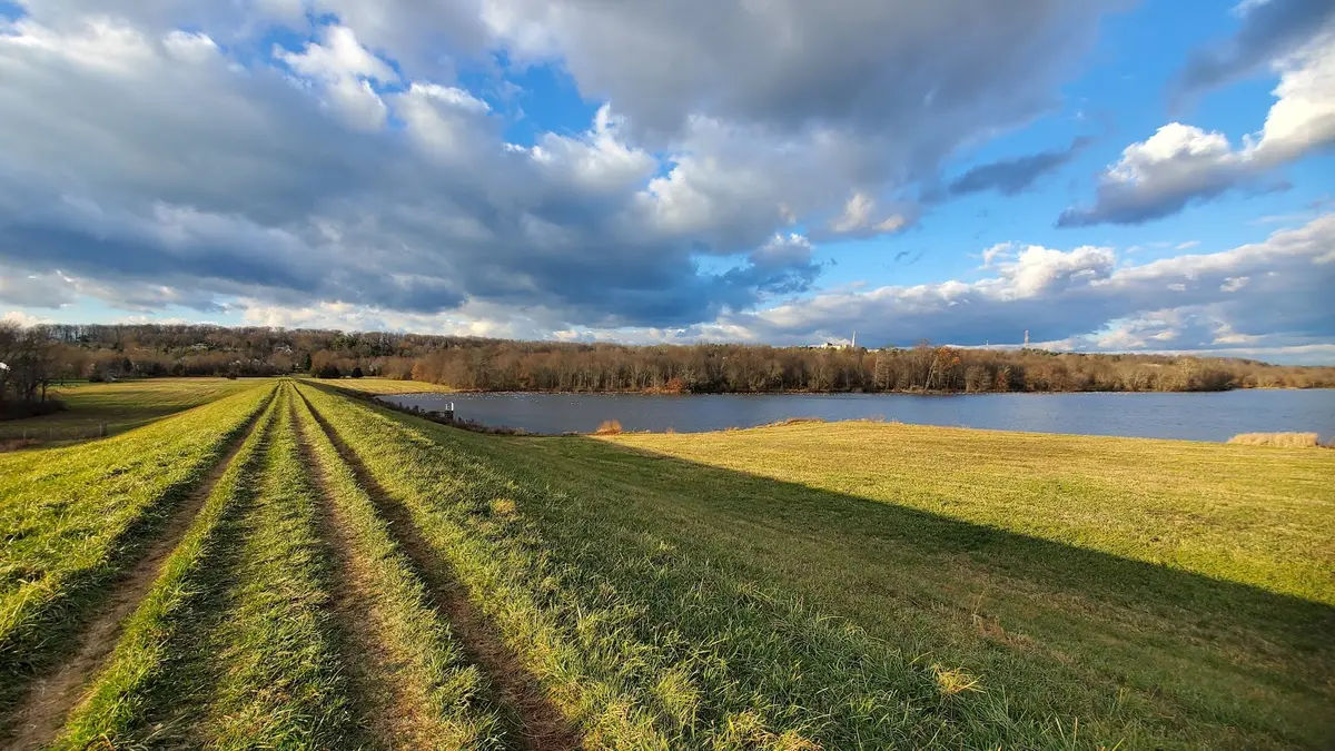 Pine Run Reservoir Parking in Doylestown - Photo 1