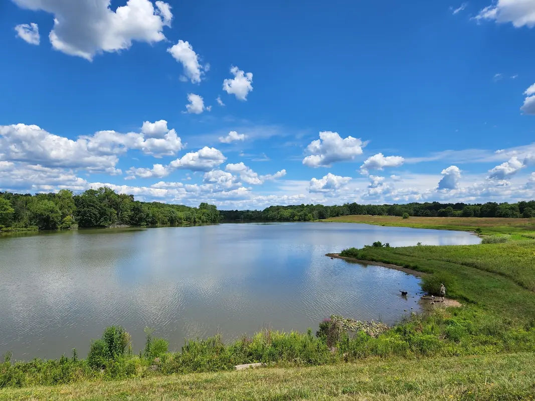 Pine Run Reservoir Parking in Doylestown - Photo 2