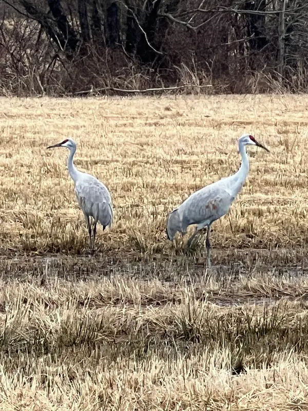 Pine Run Reservoir Parking in Doylestown - Photo 4