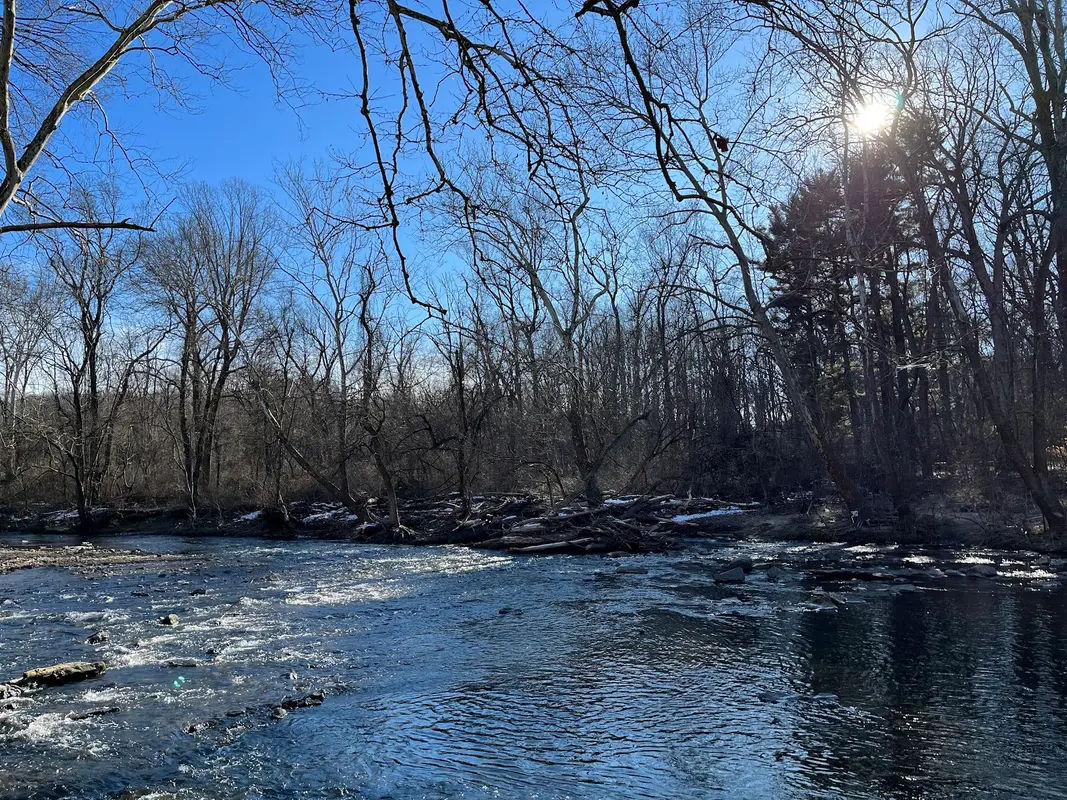 Pennypack Trail in Huntingdon Valley - Photo 2