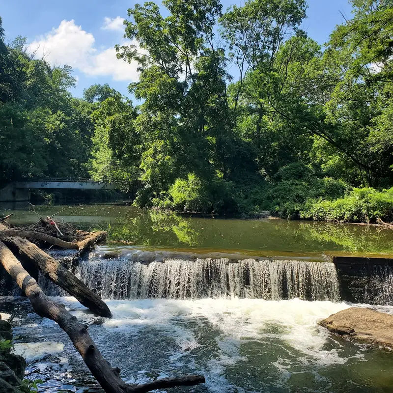 Pennypack Trail in Huntingdon Valley - Photo 4