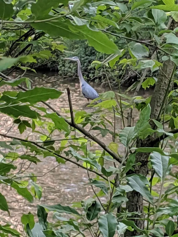 Kulp Park in Perkasie - Photo 4