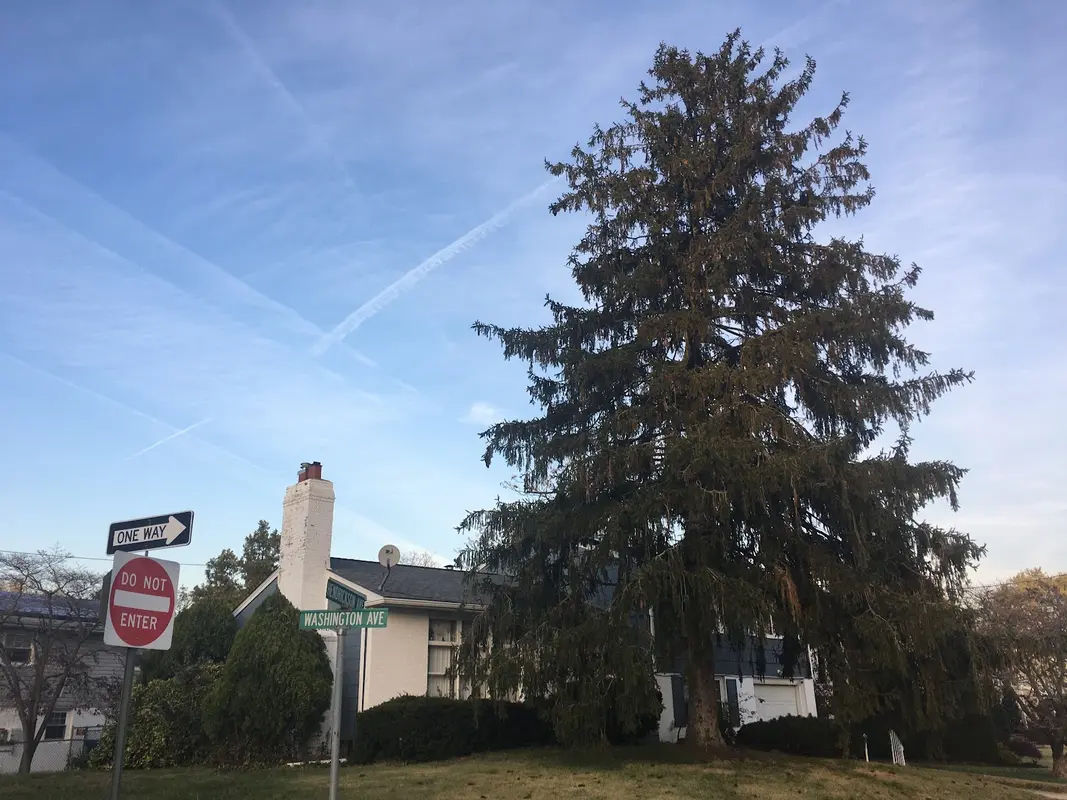 Dinoia Park in Bensalem - Photo 1