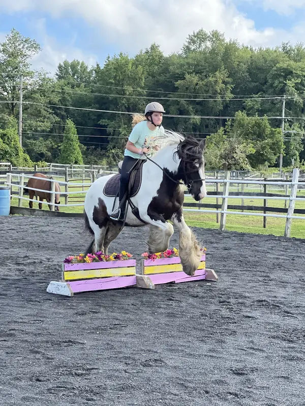 Flying Colors Riding in Bensalem - Photo 2