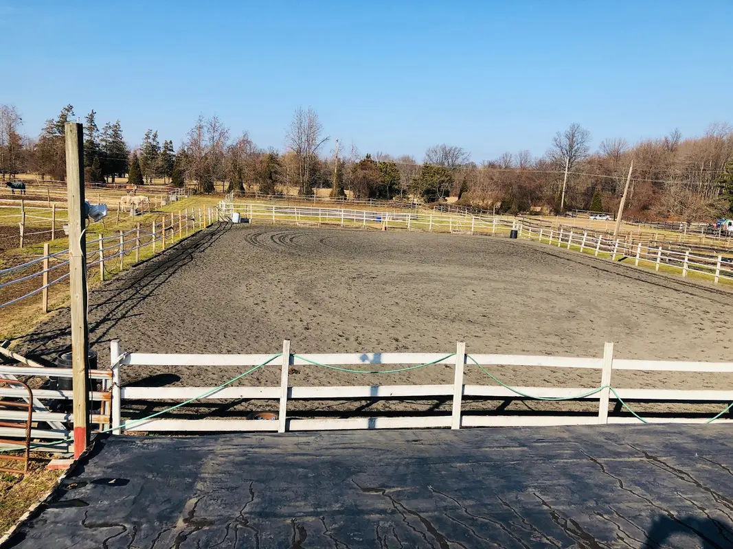 Flying Colors Riding in Bensalem - Photo 3