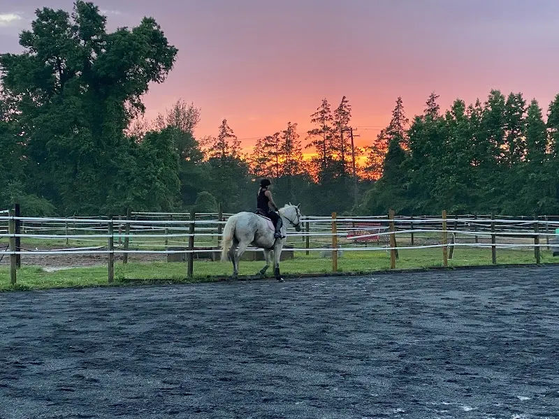 Flying Colors Riding