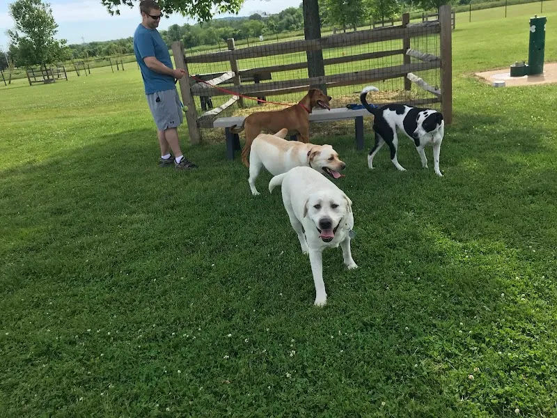 Doylestown Dog Park in Warrington - Photo 1