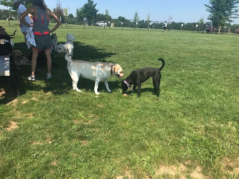 Doylestown Dog Park in Warrington - Photo 3
