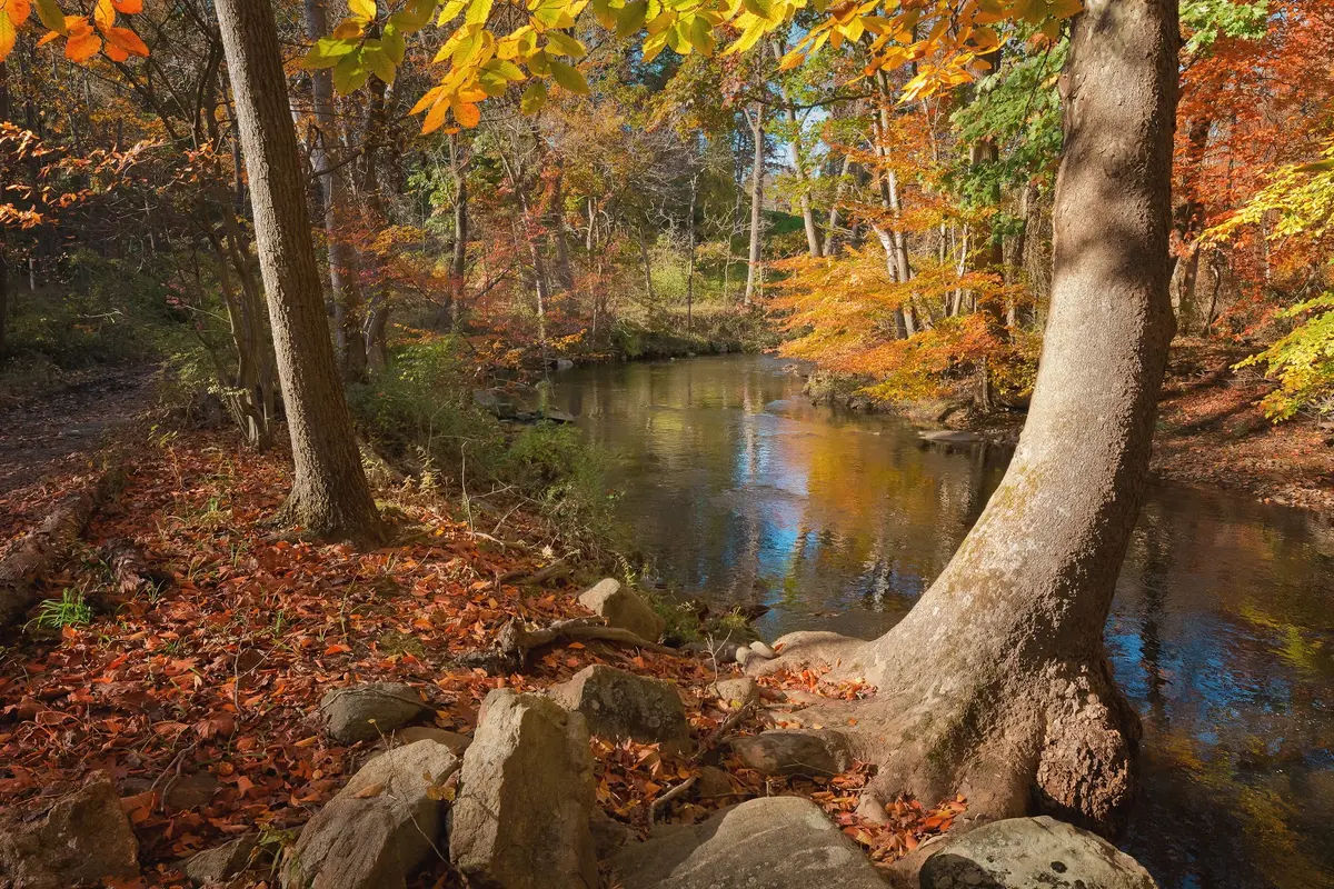 Pennypack Ecological Restoration Trust in Huntingdon Valley - Photo 2