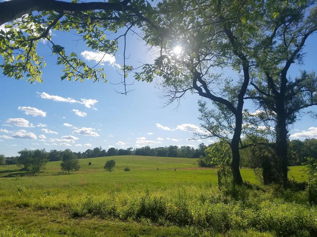 Pennypack Ecological Restoration Trust in Huntingdon Valley - Photo 3