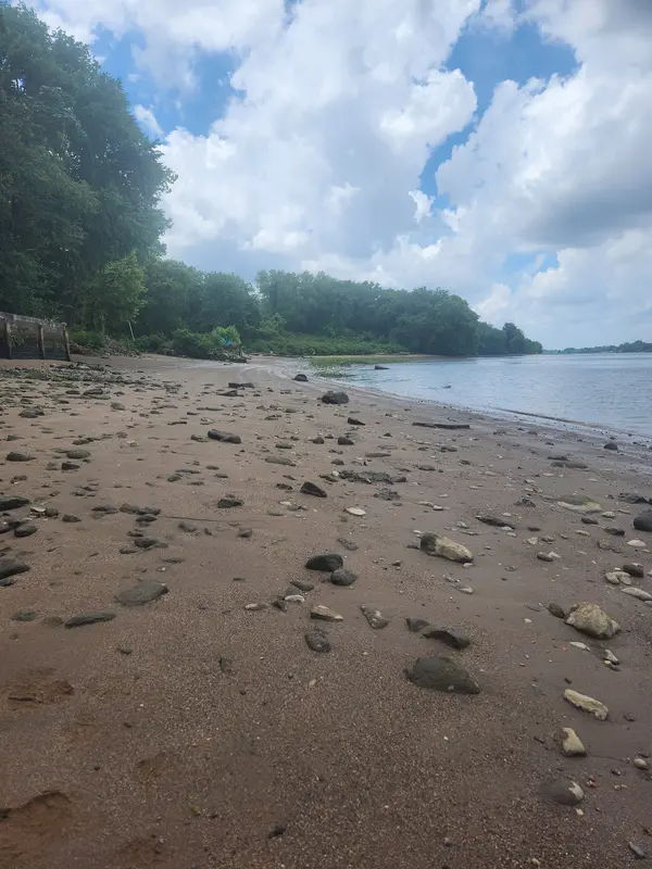 Hawk Island in Delanco - Photo 2