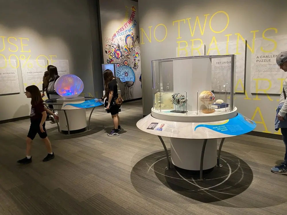 Philadelphia Sports Hall of Fame in Philadelphia - Photo 1