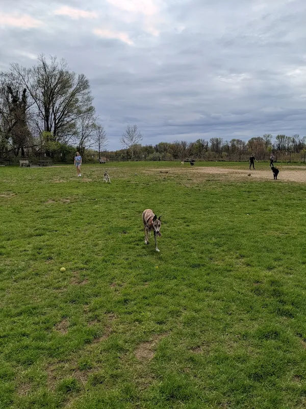 Falls Community Dog Park in Morrisville - Photo 1