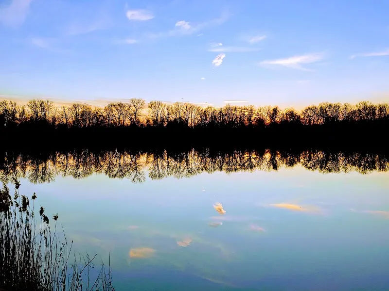 Falls Community Dog Park in Morrisville - Photo 3