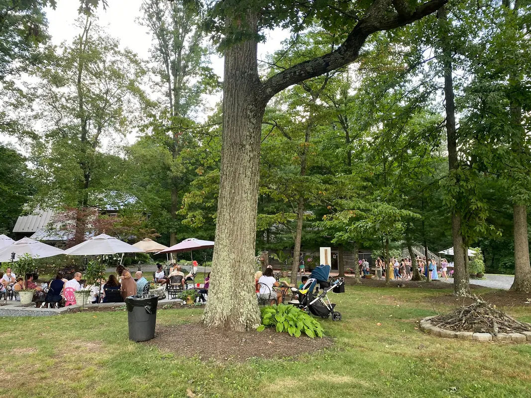 Wycombe Vineyards in Furlong - Photo 2