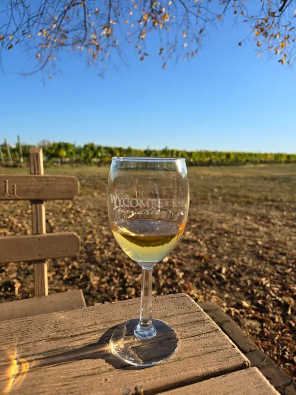 Wycombe Vineyards in Furlong - Photo 3