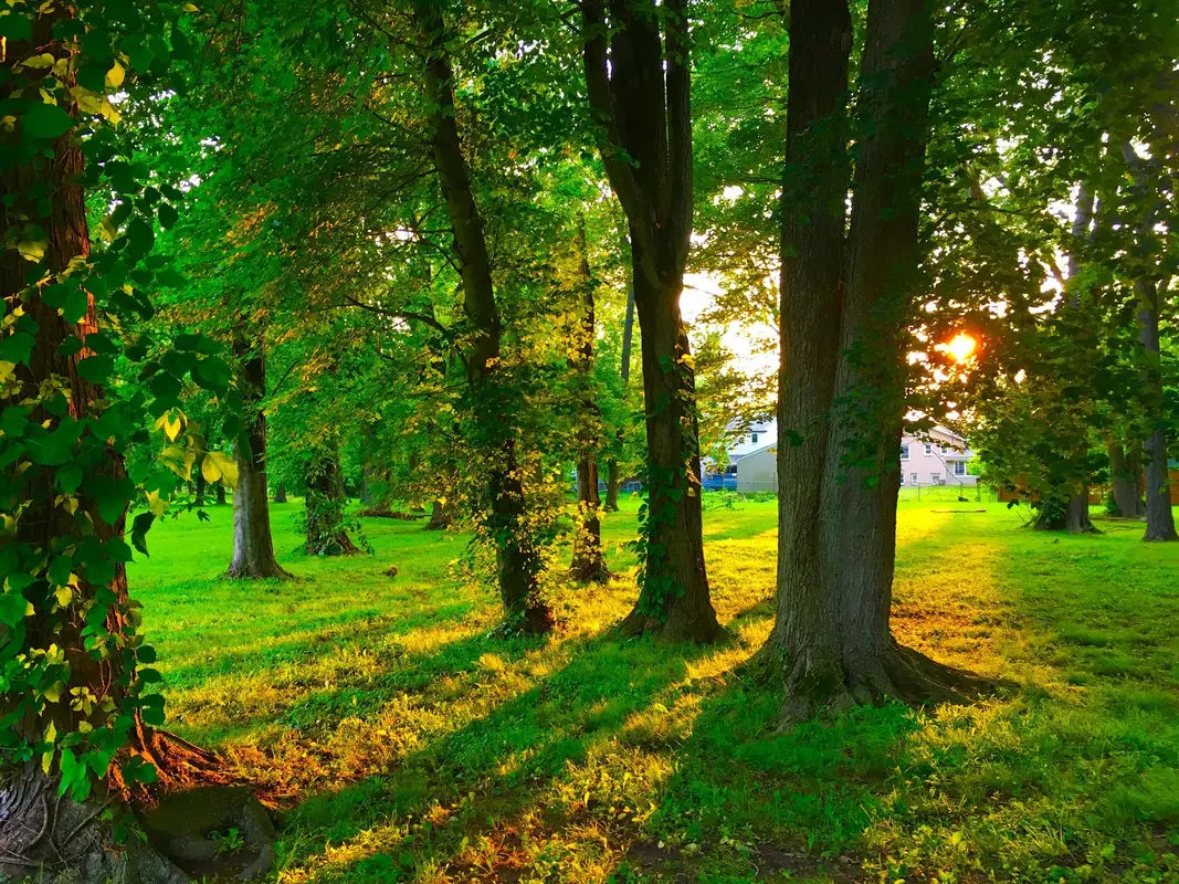 Ridgway Park in Bensalem - Photo 2