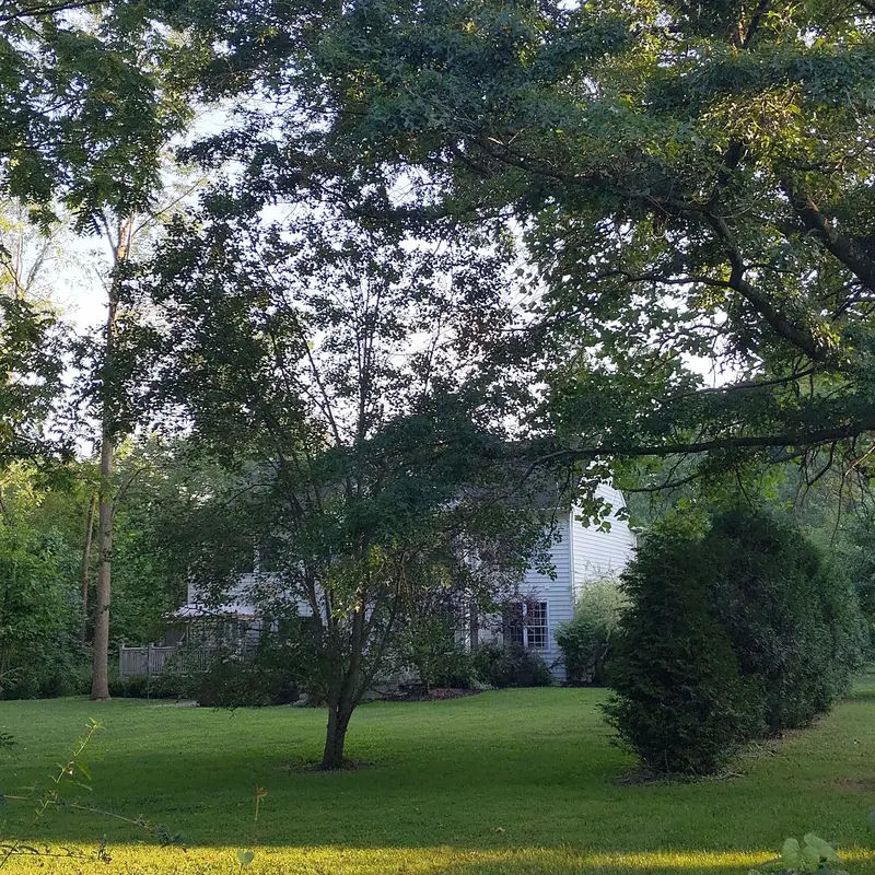 North Branch Park in Chalfont - Photo 2