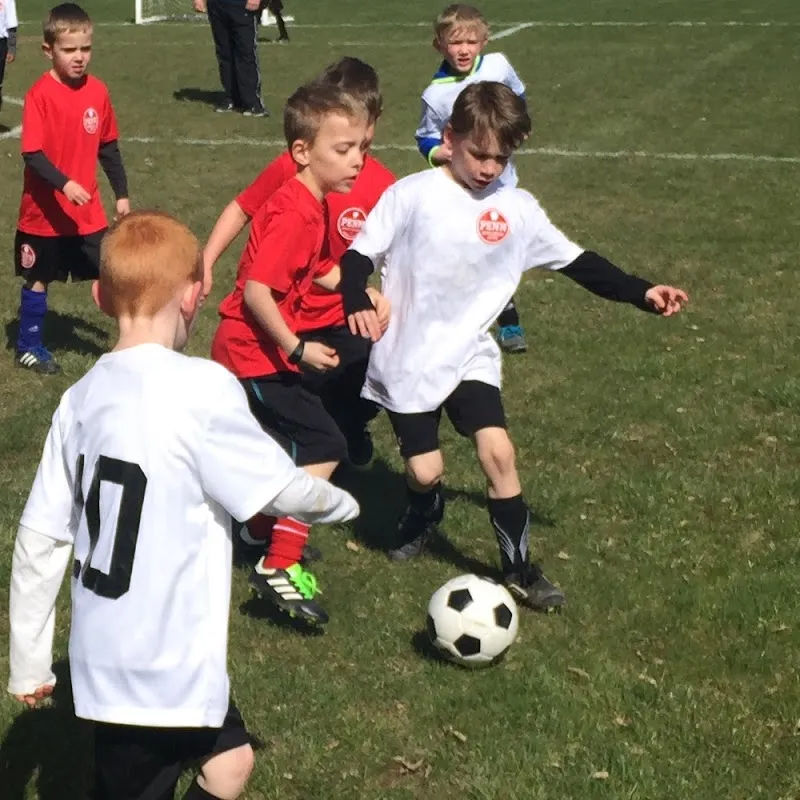 Field 2 in Doylestown - Photo 4