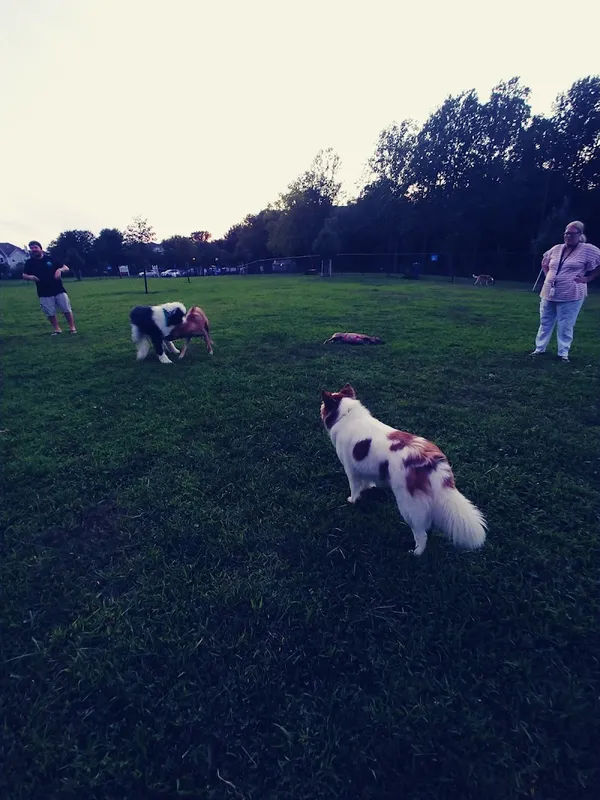 Lower Makefield Township Dog Park in Yardley - Photo 2