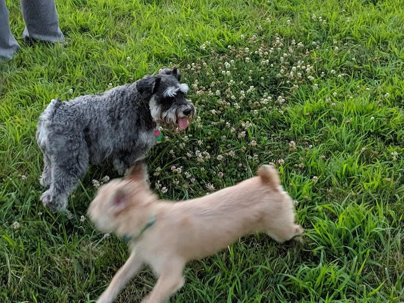 Lower Makefield Township Dog Park in Yardley - Photo 4