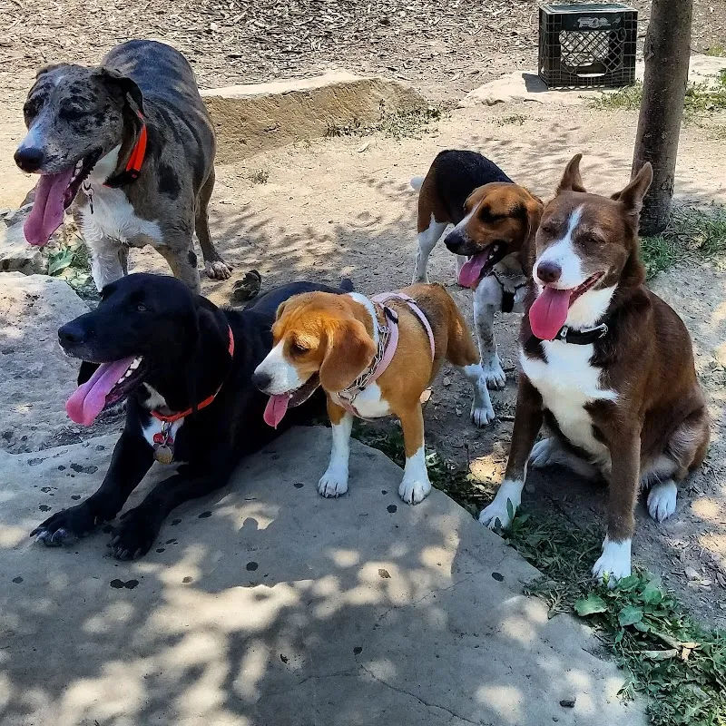 Perkasie Dog Park in Perkasie - Photo 1
