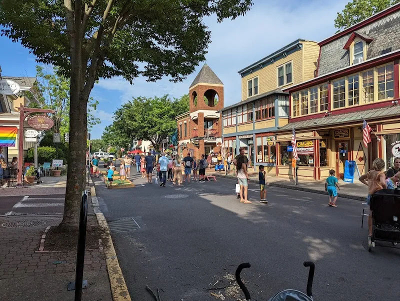 Warminster in Doylestown - Photo 2