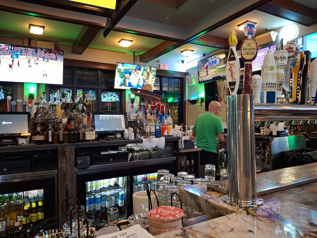 Green Parrot in Newtown - Photo 4