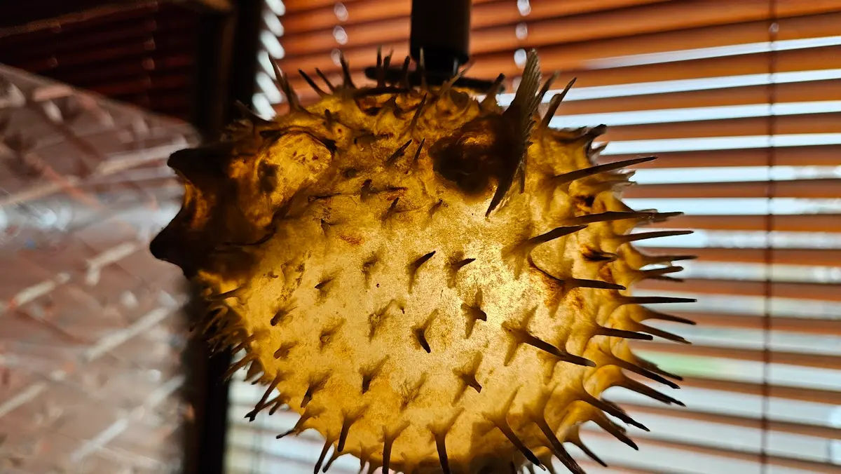 Hong Luck Restaurant in Levittown - Photo 3