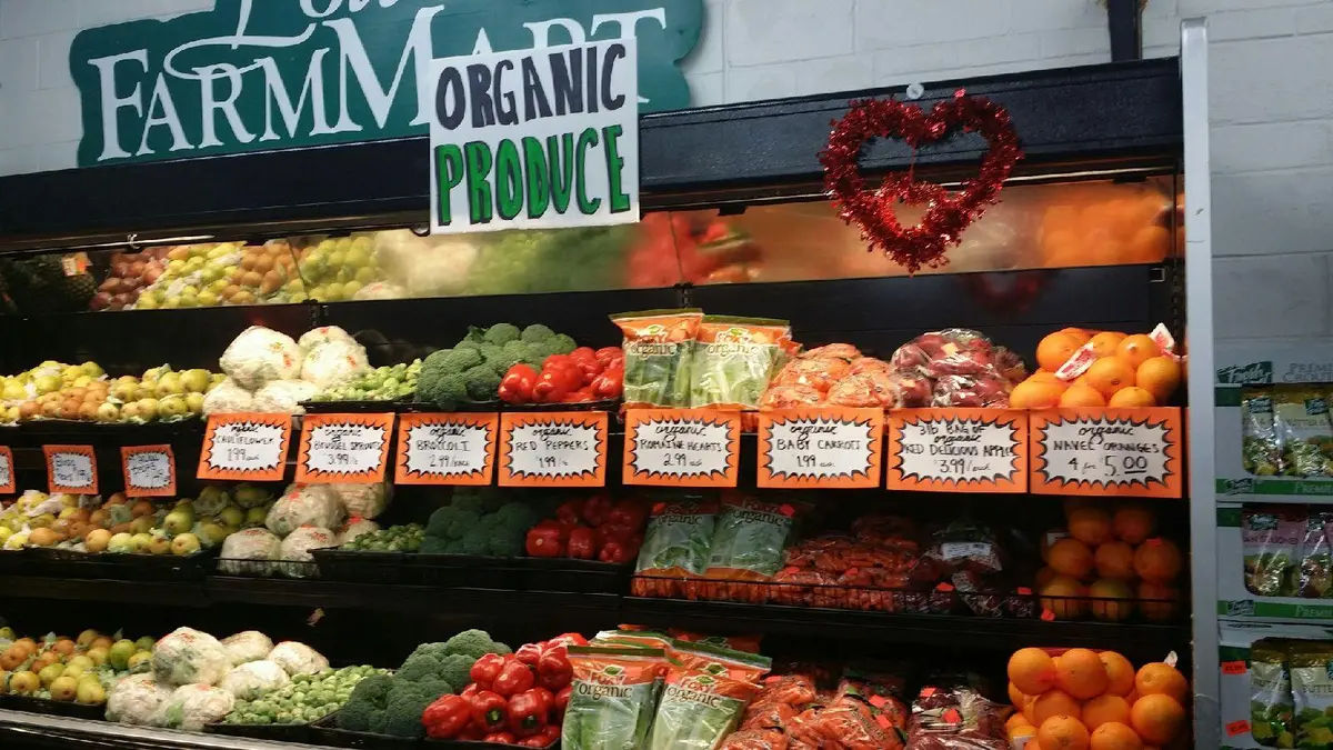 Lou's Farm Mart in Bensalem - Photo 2