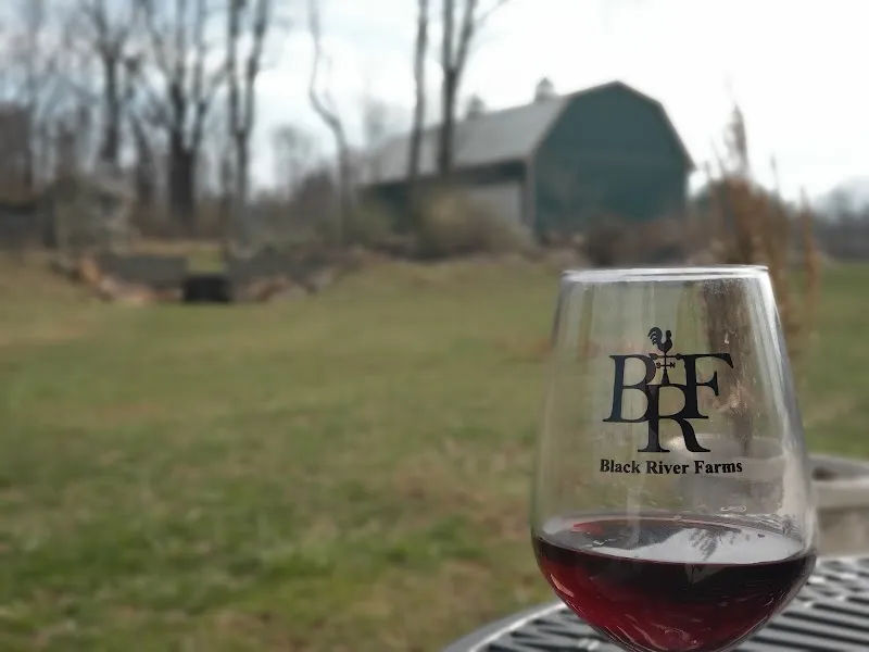 Black River Farms, Inc - Photo 4