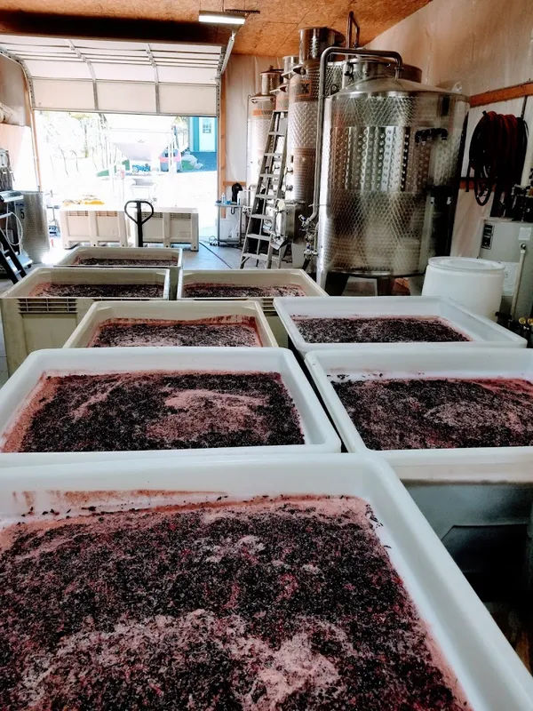 Black River Farms, Inc - Photo 5