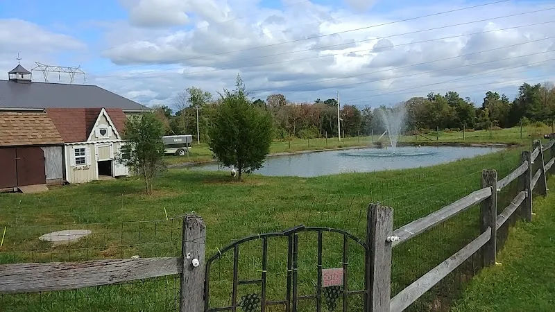 Buckingham Valley Vineyards - Photo 6